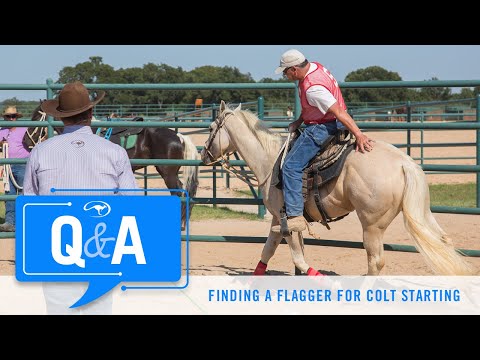Q&A With Clinton Anderson: Finding a Helper to Flag a Colt's First Ride