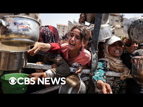 Experts warn of famine in Gaza happening now