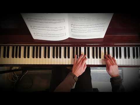 Scale 2.12 - D Chromatic SM 2 Octaves