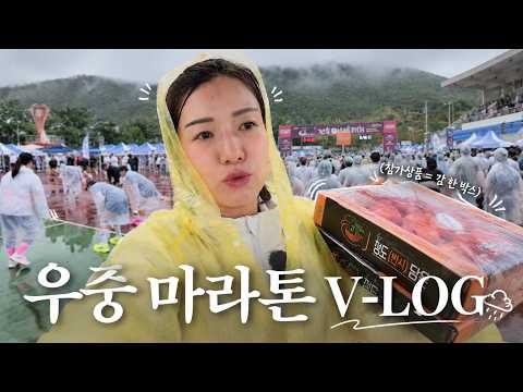 비 오는데 4,000명 넘게 뛴다고?☔ | 제19회 전국 청도 반시마라톤 대회