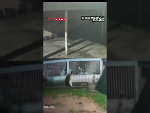 Homem é preso suspeito de furtos e tentativa de invasão a residência em Cândido Mendes