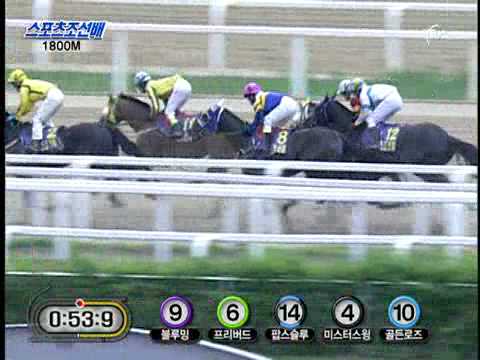 2010 Sports Chosun Cup - Luxury Jewang