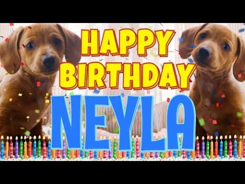 Happy Birthday Neyla! ( Funny Talking Dogs ) What Is Free On My Birthday