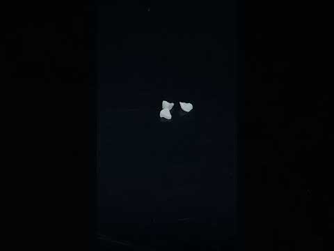 YouTube 썸네일