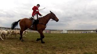 preview picture of video 'Avon Vale Hunt Point-to-Point Racing at Larkhill, 30.03.13.'