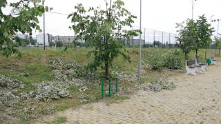 Десетки липи в парк „Арпезос-Север“ са изпочупени и дори повалени