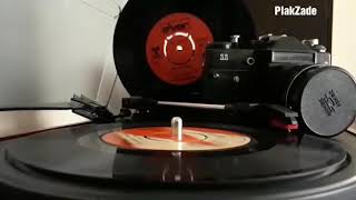 Nesrin Sipahi - Gözleri Aşka Gülen (Plak)