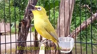 Download lagu Pleci Dakun Bali Shoots Material mp3 Download lagu Pleci Dakun Bali Shoots Material mp3