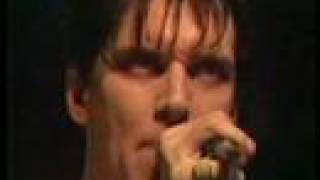 The Cramps-What&#39;s Inside A Girl?