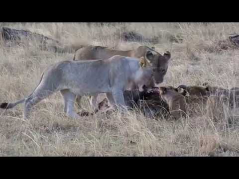 Thumbnail for God's resting place...Kenya by Martyn Bennett