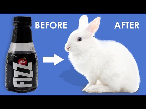 Awesome Craft Ideas | Rabbit Making at Home | Rabbit Making with Appy Bottle