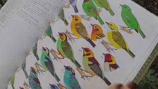 Los Yaltes en vivo / Los Yaltes en images / Los Yaltes in live