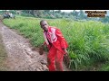 Maajabu Ya Embaramba Kubeba Ng Ombe
