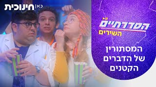 Cover art for המסתורין של הדברים הקטנים