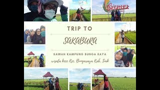 preview picture of video 'Trip To Argo wisata SAKABURA (Sawah kampung Bunga Raya)'