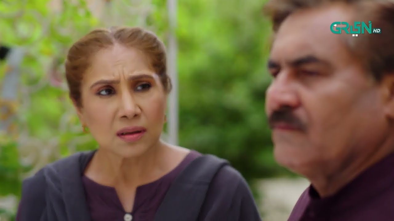 Aik Bhool Episode 32 | Best Moment 04 | Green TV Entertainment