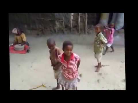 Afrikaans dorp Zanzibar