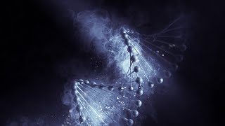 Recuperando O DNA Dos Sábios