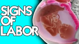 2 Signs of Labor from a Midwife- Are You IN LABOR | Losing Mucus Plug vs Water Breaking