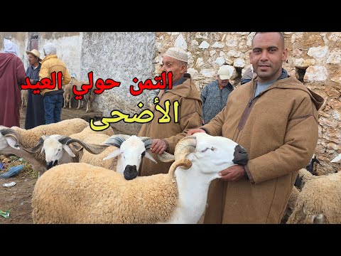 مباشرة من سوق ثلاث الأولاد فارس امزاب 28\04\2026 مع التمن حولي العيد الأضحى 🐏