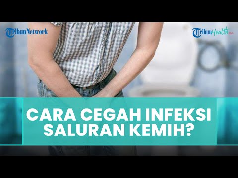 Cara Alami Membersihkan Kandung Kemih, Bisa Terhindar dari Infeksi dan Masalah Ginjal