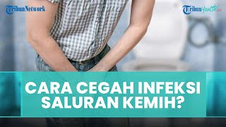 Cara Alami Membersihkan Kandung Kemih, Bisa Terhindar dari Infeksi dan Masalah Ginjal