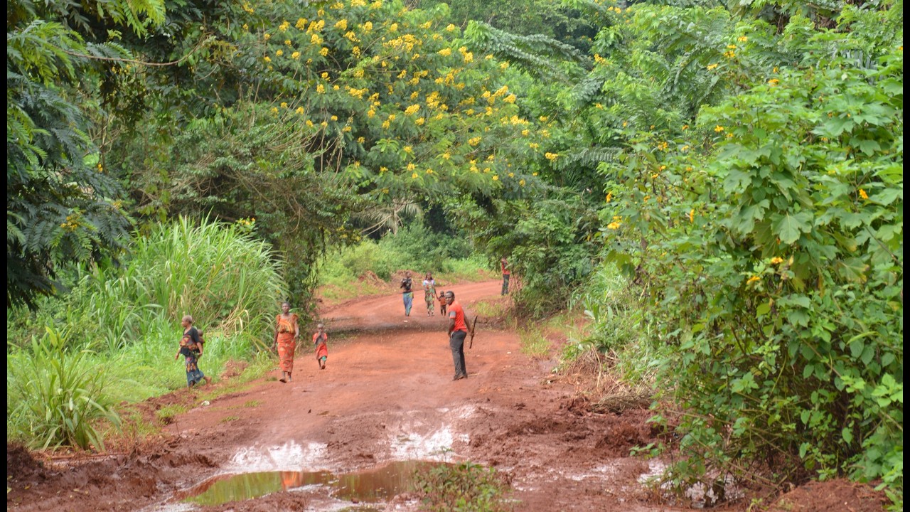 Restoration of African Landscapes: From Science-Policy Dialogue to Implementation and Best Practices