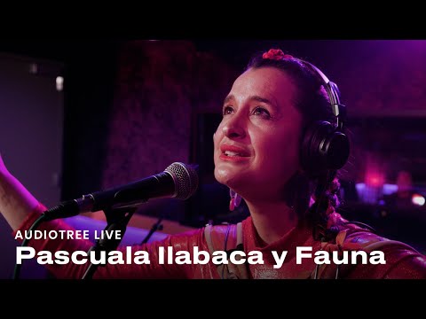 Pascuala Ilabaca y Fauna on Audiotree Live (Full Session)