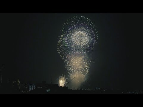 武道学科 【国士舘大学】大学案内ＷＥＢ版　スカイラウンジから感動の絶景！“世田谷区たまがわ花火大会”