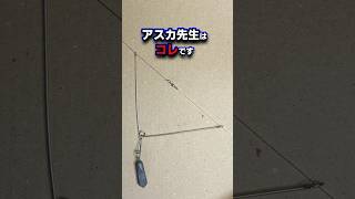 【脱・二項対立】遊動式天秤に「唯一の正解」などない〜デリダで読み解くキス釣り〜