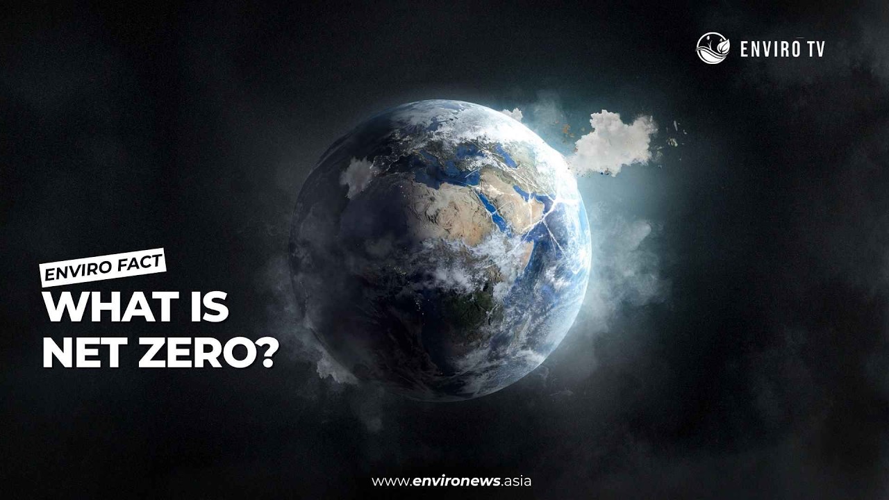 What Is Net Zero Carbon Emissions? | Climate Solutions Explained