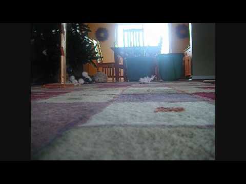 I treat you like a princess.. CONTEST ENTRY for KIBAfang90