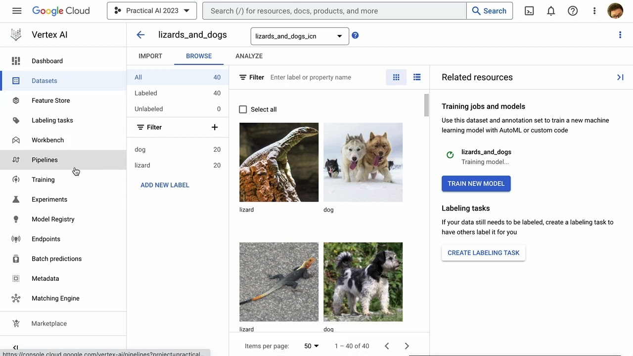 Practical AI 012a: Training an Image Classification Model with Vertex AI
