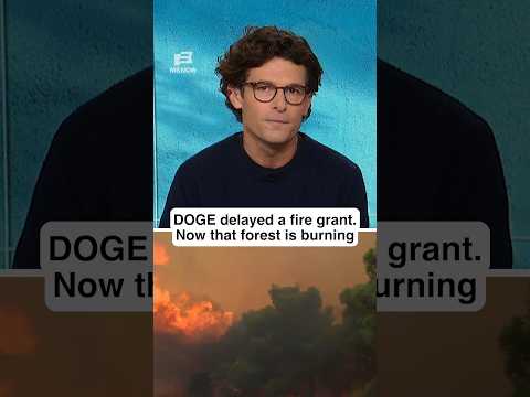 DOGE DELAYED a fire grant. Now that forest is BURNING.