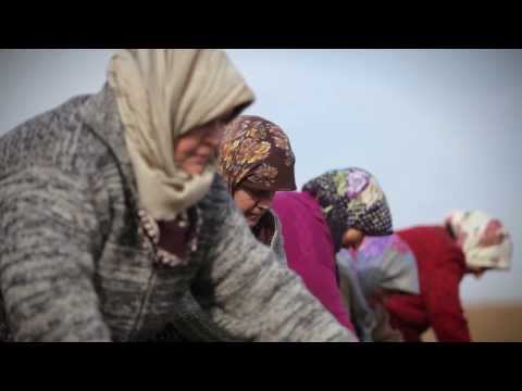 Siz ve Metro - Bir Müşteri Hikayesi - Taşköprü Sarımsağı