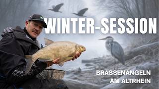 Brassenangeln im Winter – Erfolgreich fangen bei eisigen Temperaturen am Altrhein