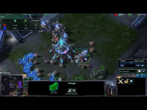 StarCraft 2 WhiteRa(P) vs DIMAGA(Z) on Metalopolis