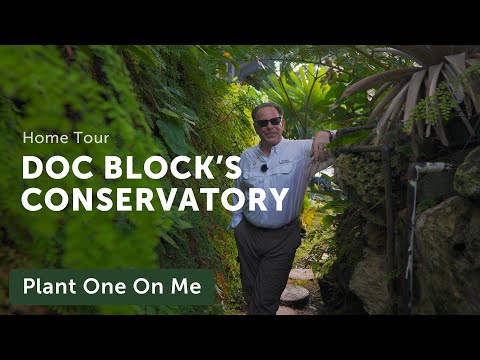 Tour DOC BLOCK'S CONSERVATORY & GREENHOUSE — Ep. 302