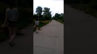 Выгуливание песика