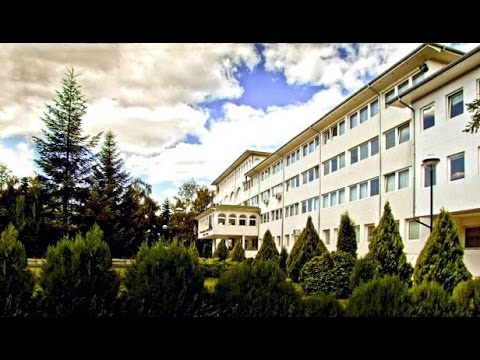 IUNP - SEVDALINKA IZVORNI OBLIK I NJENA INTERPRETACIJA DANAS