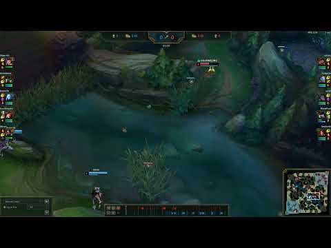 nidalee support level 1 is a bully