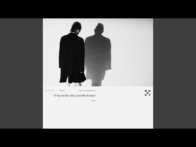 The 1975 - if you're too shy (Let Me Know) (Remix Stems)