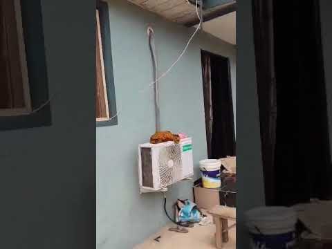 3-Bedroom Apartment + 2 Mini Flats for Sale in Isheri Olofin, Lagos