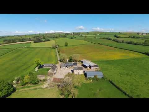 Travley Spring Sunshine - Parrot Disco FPV Wing