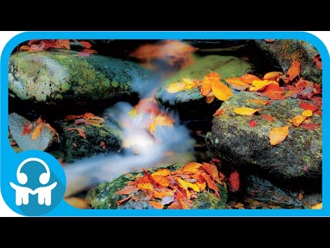 WHITE NOISE | Nature Sounds | Flowing Water