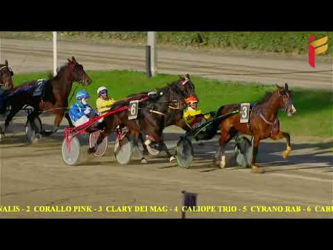 V corsa del 11 dicembre 2022 - 4 Anni - Metri 1600