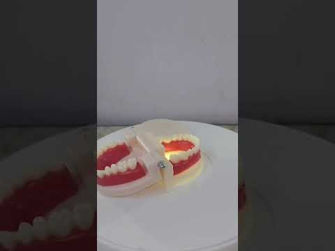 Human Body Part Models