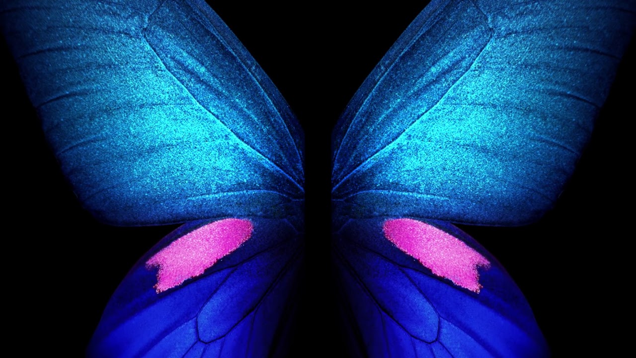 Galaxy Fold Blue Butterfly Live Wallpaper