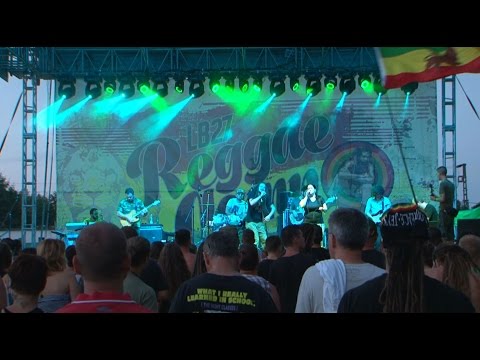 Reggae Camp - 2016 - AfroDZAQM koncert