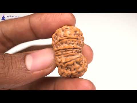 Rudraksha Product Image